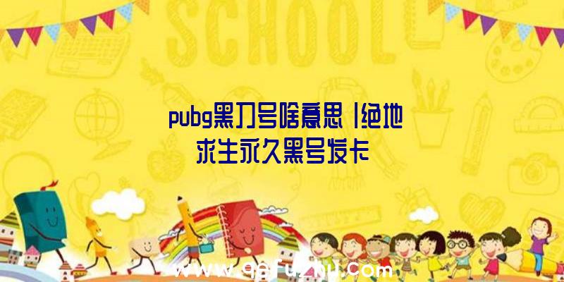 「pubg黑刀号啥意思」|绝地求生永久黑号发卡